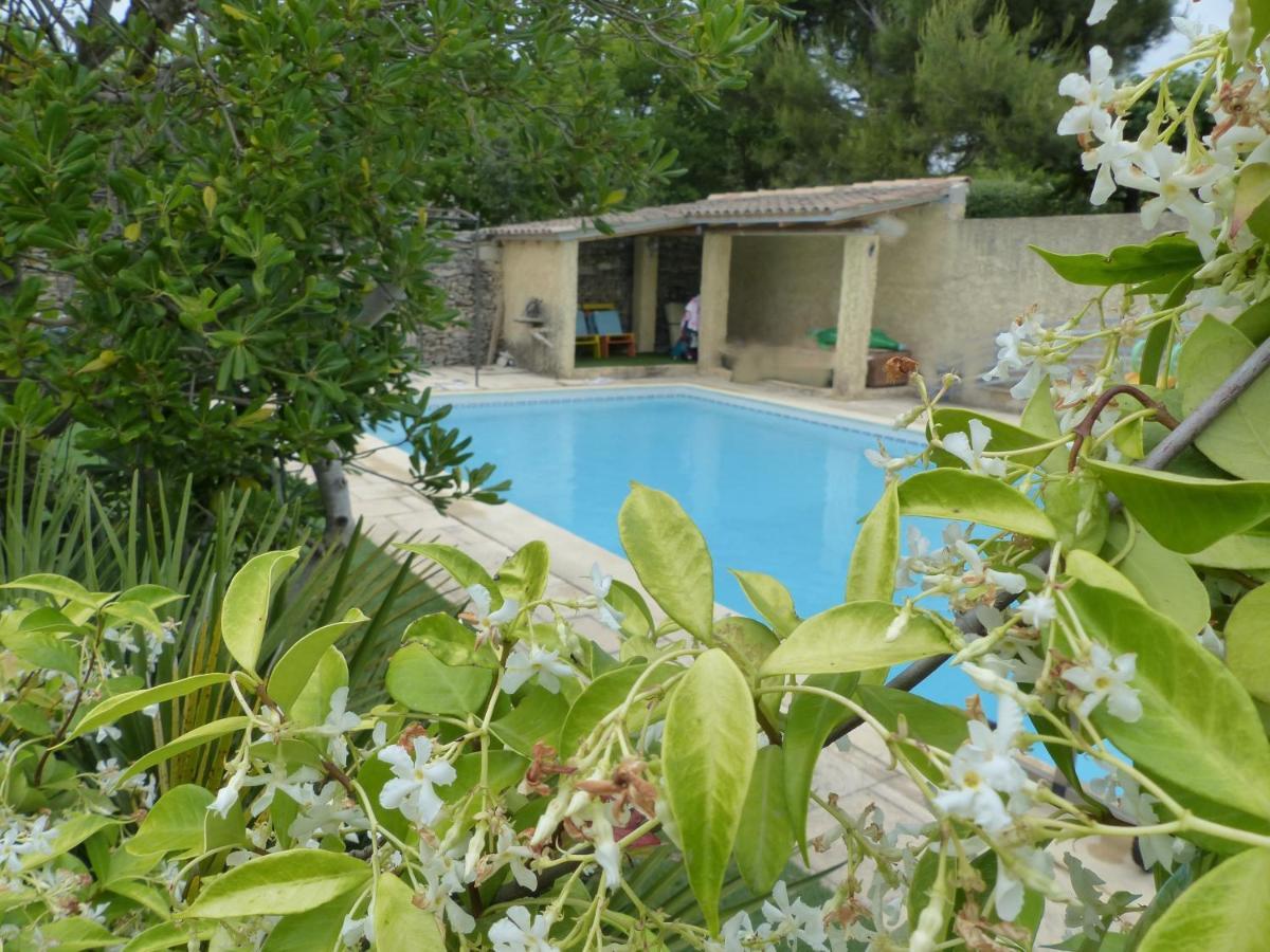 La Quietude De St Antoine - Piscine Privee LʼIsle-sur-la-Sorgue Exterior foto